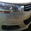 7 порад як відмити сліди комах з машини