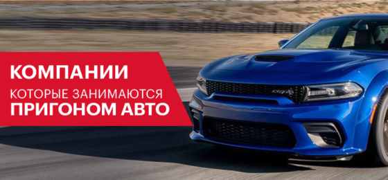 Таможенный калькулятор растаможки авто