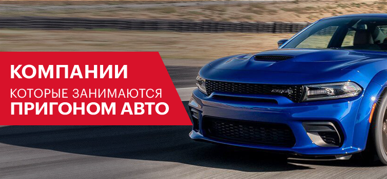 Как расшифровывается кта авто