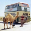 Как организовали самый длинный автобусный маршрут в мире